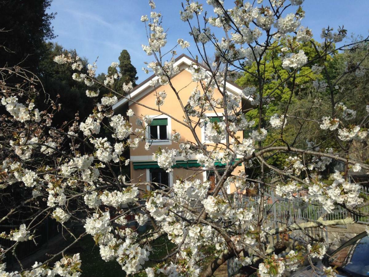 B&B La Rosa Segreta Genoa Bagian luar foto